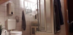 ein Badezimmer mit Toilette und Waschbecken in der Unterkunft Penthouse Mosel Huntress in Gornhausen