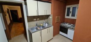Virtuvė arba virtuvėlė apgyvendinimo įstaigoje Zamlek Nile view