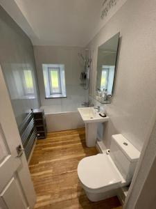 uma casa de banho com um WC, um lavatório e um espelho. em Easdale Cottage em Oban