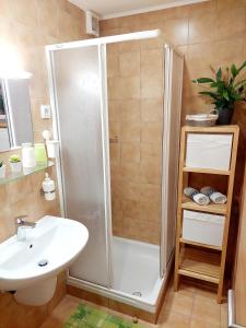y baño con ducha y lavamanos. en Apartments Sušnik en Bohinj