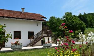 Zahrada ubytování Rooms Ruza