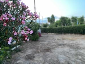 A garden outside Athens Riviera: 2 bed / 3' walk from the beach