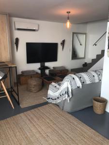 a living room with a couch and a television at Loft Mahanoa in Cabannes