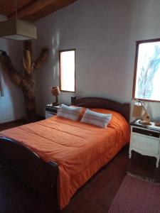 a bedroom with a bed with an orange bedspread at Apapachar in Amaichá del Valle