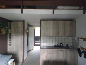 una cocina con armarios de madera y fregadero en Duplex 3 pièces. Pieds des pistes et balcon!, en Gresse-en-Vercors