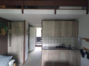 a kitchen with wooden cabinets and a sink at Duplex 3 pièces. Pieds des pistes et balcon! in Gresse-en-Vercors