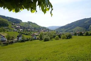 un campo de césped verde con una ciudad a lo lejos en Bäuerlehof en Seebach