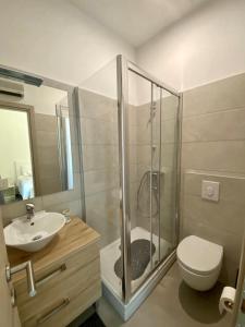 La salle de bains est pourvue d'une douche, de toilettes et d'un lavabo. dans l'établissement Mario City Center Rooms, à Rijeka