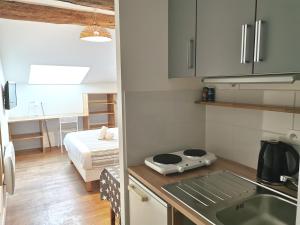 Una cocina o zona de cocina en Appart'Hôtel Bellevue