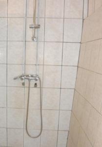 prysznic z wężem w łazience w obiekcie Maison de 2 chambres avec jardin amenage a Vezac w mieście Vezac