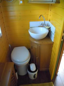 bagno con lavandino e servizi igienici di CHARLOTTE LA ROULOTTE a Grosbreuil