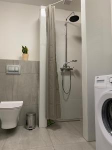 Kúpeľňa v ubytovaní Apartament - U Wujka