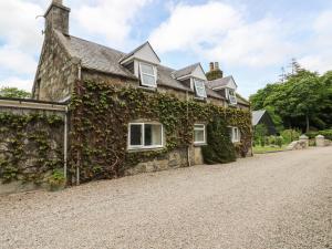 a stone house with ivy on the side of it at Storkery Cottage in Aberdeen