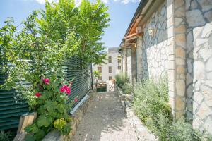 Zahrada ubytování Garden Apartment Hotel