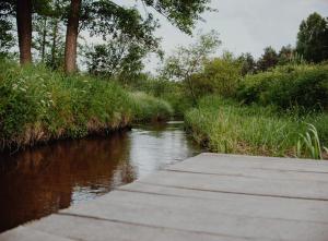 un chemin en bois à côté d'une rivière arborée dans l'établissement Na Piaskach Domek na Roztoczu, à Narol