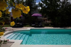 a swimming pool in a yard with yellow flowers at Villa Casa Rosa in Olhão