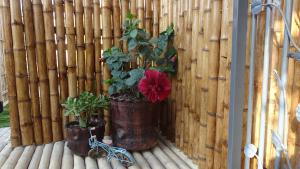 Giardino di Posada Estrella