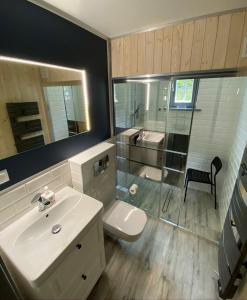 a bathroom with a sink and a shower and a toilet at Dom na Brzozowej in Gołubie +18 photos