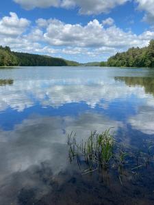 a large body of water with trees and clouds at Dom na Brzozowej in Gołubie