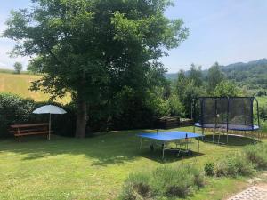 twee tafeltennistafels in een tuin met een boom bij Chata Michaela in Turnov