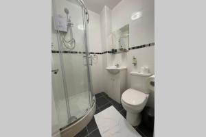 a bathroom with a shower and a toilet at Spacious, Bright Twin Studio Apartment (can sleep up to 4) in London