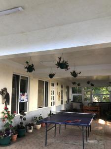 Gallery image of TJ GARDENS in Makhinjauri