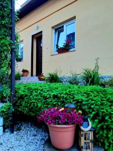 a house with flowers in front of a house at Rekreačný domček Judka in Dedinky
