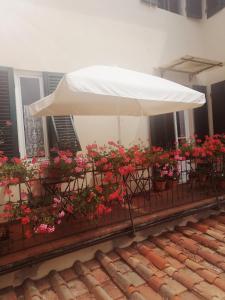 Fotografie z fotogalerie ubytování Bed and Breakfast Evelina v destinaci Lucca