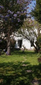 una casa con un árbol con flores púrpuras en un patio en Maison de vacances cosy, en Avranches