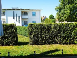a hedge in a yard with a building in the background at 4 person holiday home in Visby in Visby