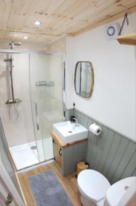 een badkamer met een douche, een wastafel en een toilet bij Coorie In in Kilmore