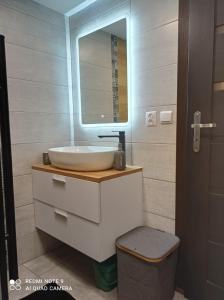 a bathroom with a sink and a mirror at Apartamenty Sowianka in Ludwikowice Kłodzkie