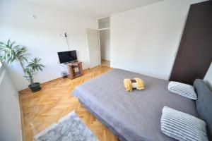 Gallery image of Apartman Centar Lux in Pirot