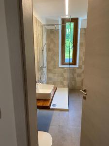 a bathroom with a sink and a glass shower at Apartment Nona Polda in Kobarid +70 photos