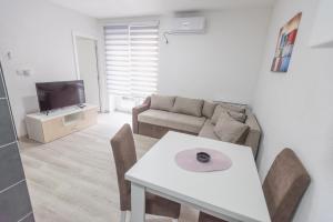 TV a/nebo společenská místnost v ubytování Apartmani Centar Loznica