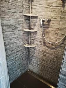 a shower with two shelves in a bathroom at Olive in Uhldingen-Mühlhofen +14 photos