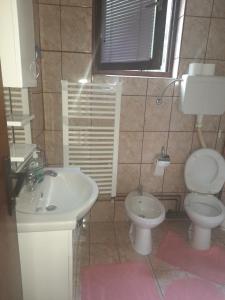 a bathroom with a sink and a toilet at Milojković in Donji Milanovac