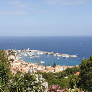 a city with a harbor and boats in the water at Blue Living - Alta Marina in Marciana Marina
