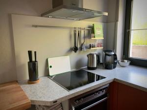 uma cozinha com um fogão e uma bancada em Ferienhaus Steins em Sinspelt
