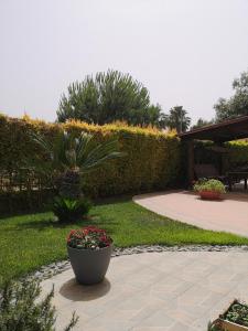 un jardín con una maceta de flores y una pasarela en Villa italia, en Policoro
