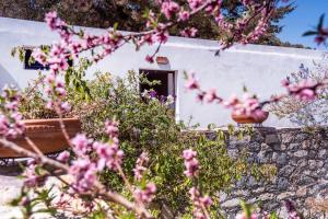 Foto de la galería de Villas de Santa Ana en Manuel F. Martínez