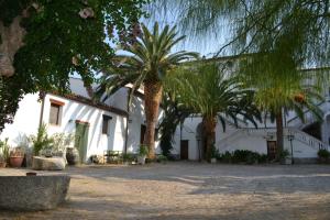 una casa blanca con palmeras delante en Agriturismo Malena, en Rossano