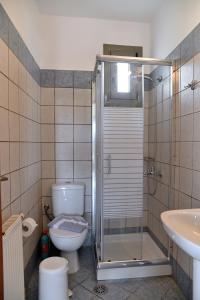 a bathroom with a shower and a toilet and a sink at To Pithari in Skiros
