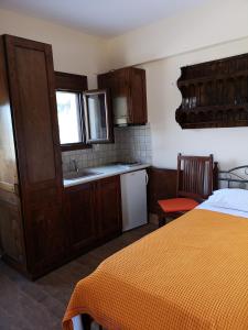 cocina con cama y lavabo en una habitación en Flygonion Guesthouse, en Kiriákion
