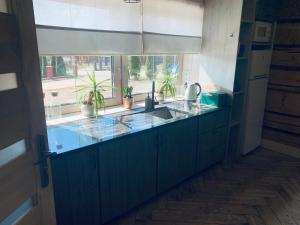 uma cozinha com pia e janela em Sykowno Góralsko Chata em Zakopane mais 20 fotografias