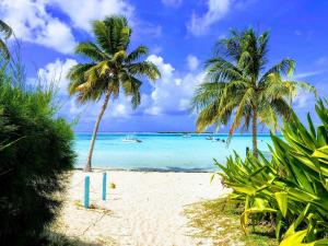 a beach with two palm trees and the ocean at MOOREA - Tropical Soul in Hauru