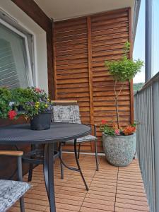 Balkon lub taras w obiekcie APARTAMENT BIESZCZADY
