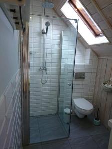 a bathroom with a shower and a toilet at Apartament z tarasem in Stegna