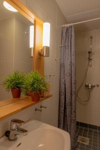 y baño con lavabo y ducha con espejo. en Hotelli Verstas, en Nakkila