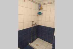uma casa de banho com um chuveiro com azulejos azuis em Blue Velvet apartment em Paránimfoi
